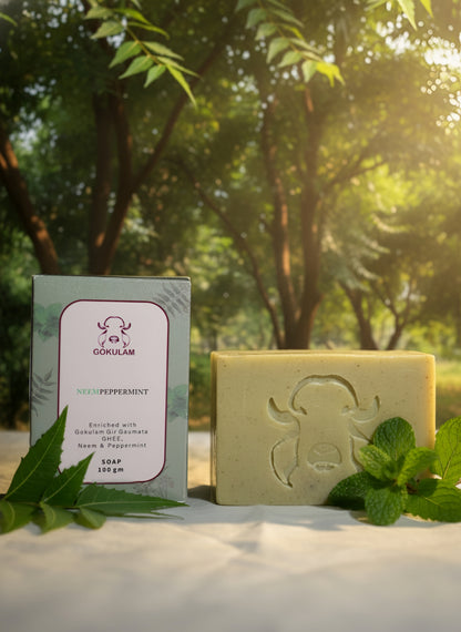 Neem-Peppermint Soap