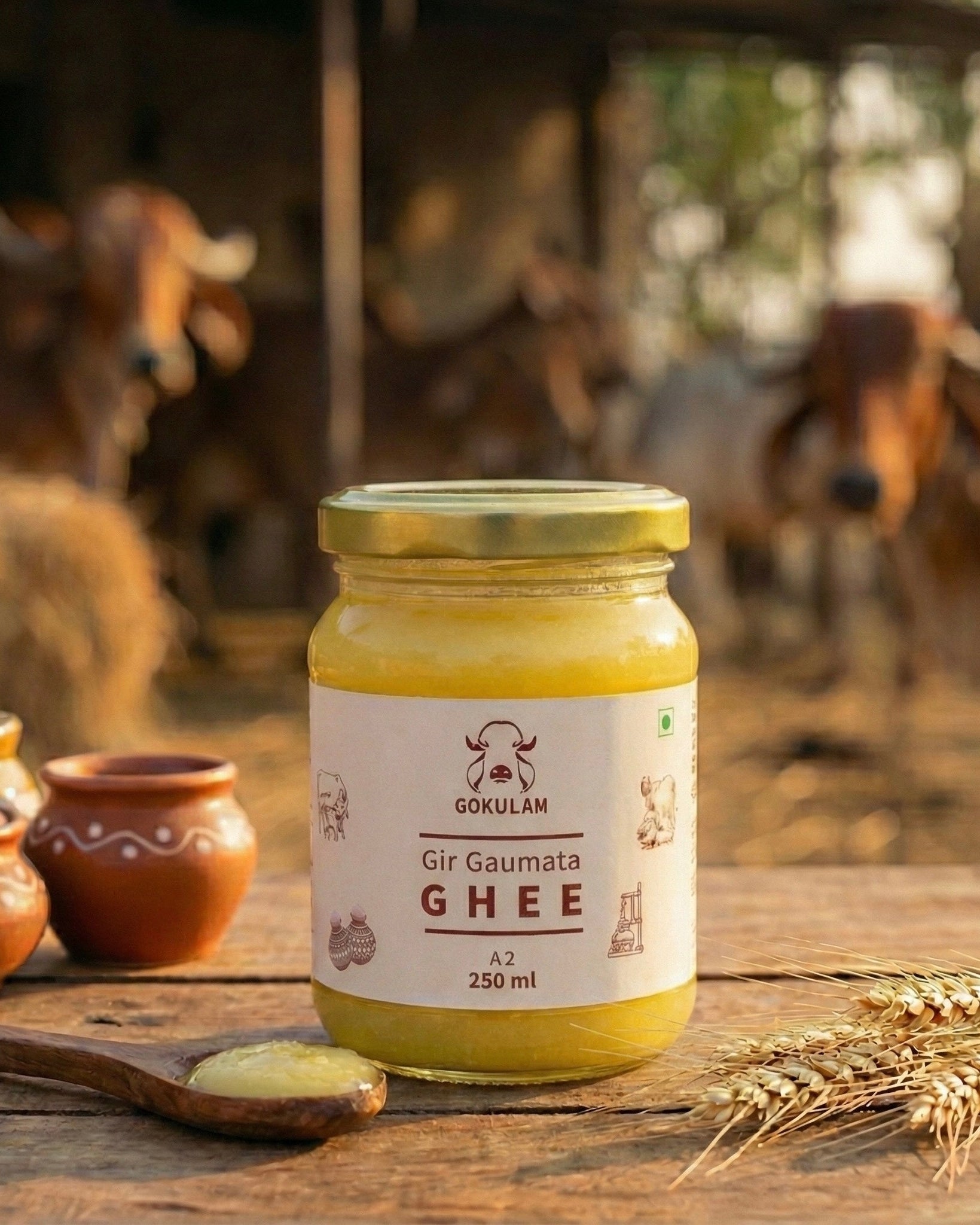 Gir Gaumata GHEE 250 gm – Gokulam
