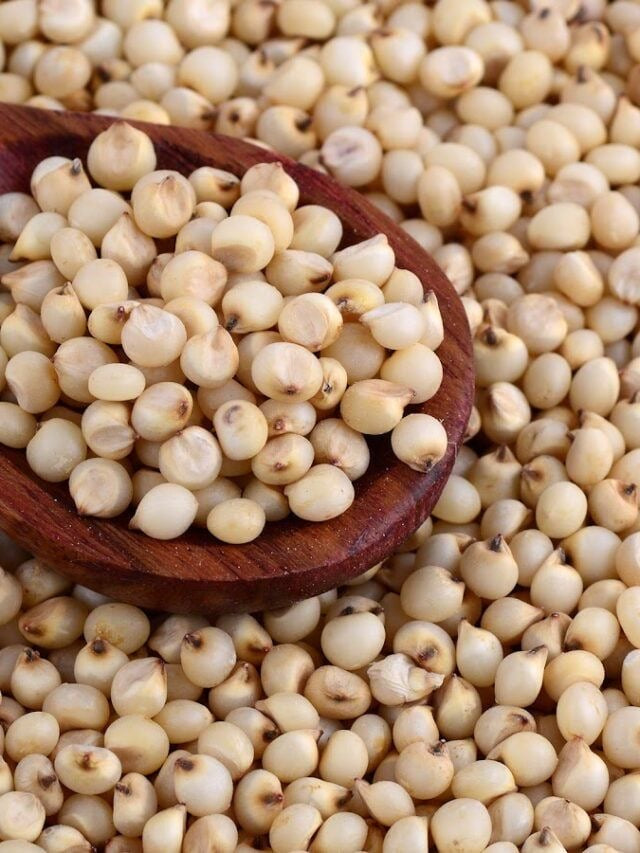 Jaivik Desi Jowar